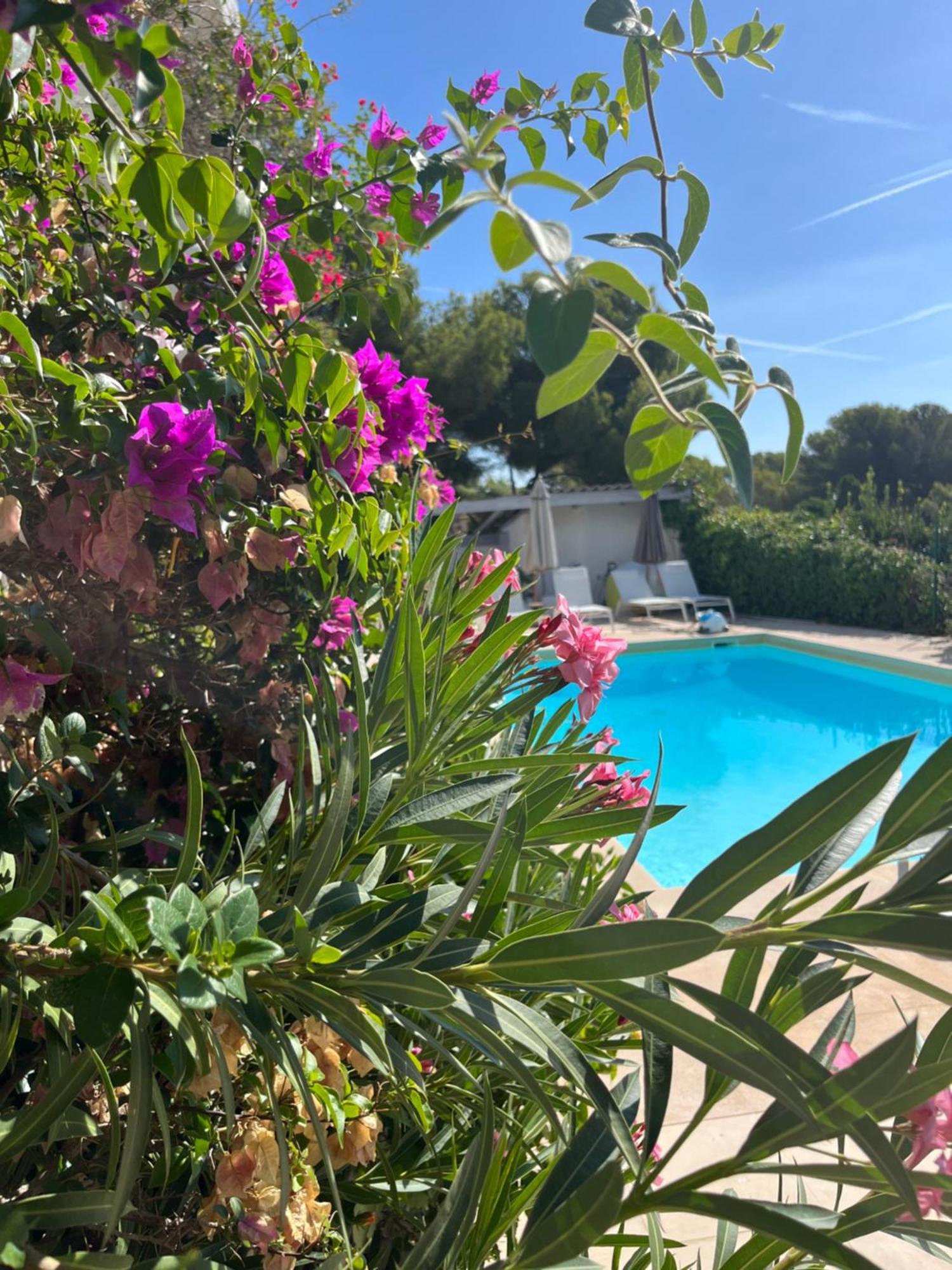 Villa Paradis Les Issambres Eksteriør bilde